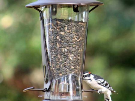 Classic Brands Squirrel X-2 Squirrel Resistant Bird Feeder For Cheap