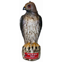 Bird-B-Gone Decoy Hawk Cheap