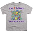 TEENAGE MUTANT NINJA TURTLES : PIZZA BIRTHDAY S\S YOUTH Cotton 18\1 Athletic Heather MD Supply