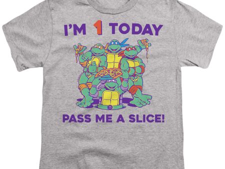 TEENAGE MUTANT NINJA TURTLES : PIZZA BIRTHDAY S\S YOUTH Cotton 18\1 Athletic Heather MD Supply