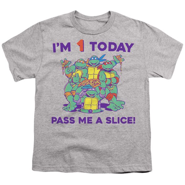 TEENAGE MUTANT NINJA TURTLES : PIZZA BIRTHDAY S\S YOUTH Cotton 18\1 Athletic Heather MD Supply