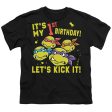 TEENAGE MUTANT NINJA TURTLES : OUTTA MY WAY S\S YOUTH Cotton 18\1 Black LG For Sale