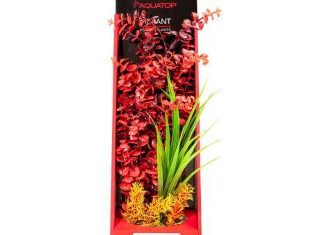 Aquatop Vibrant Wild Plant Red Online Hot Sale