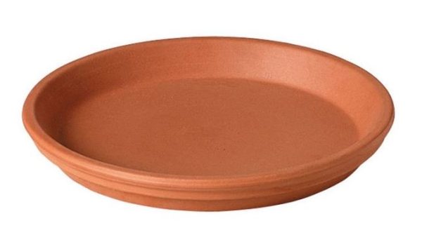 Deroma® Terracotta Traditional Plant Saucer Online Sale